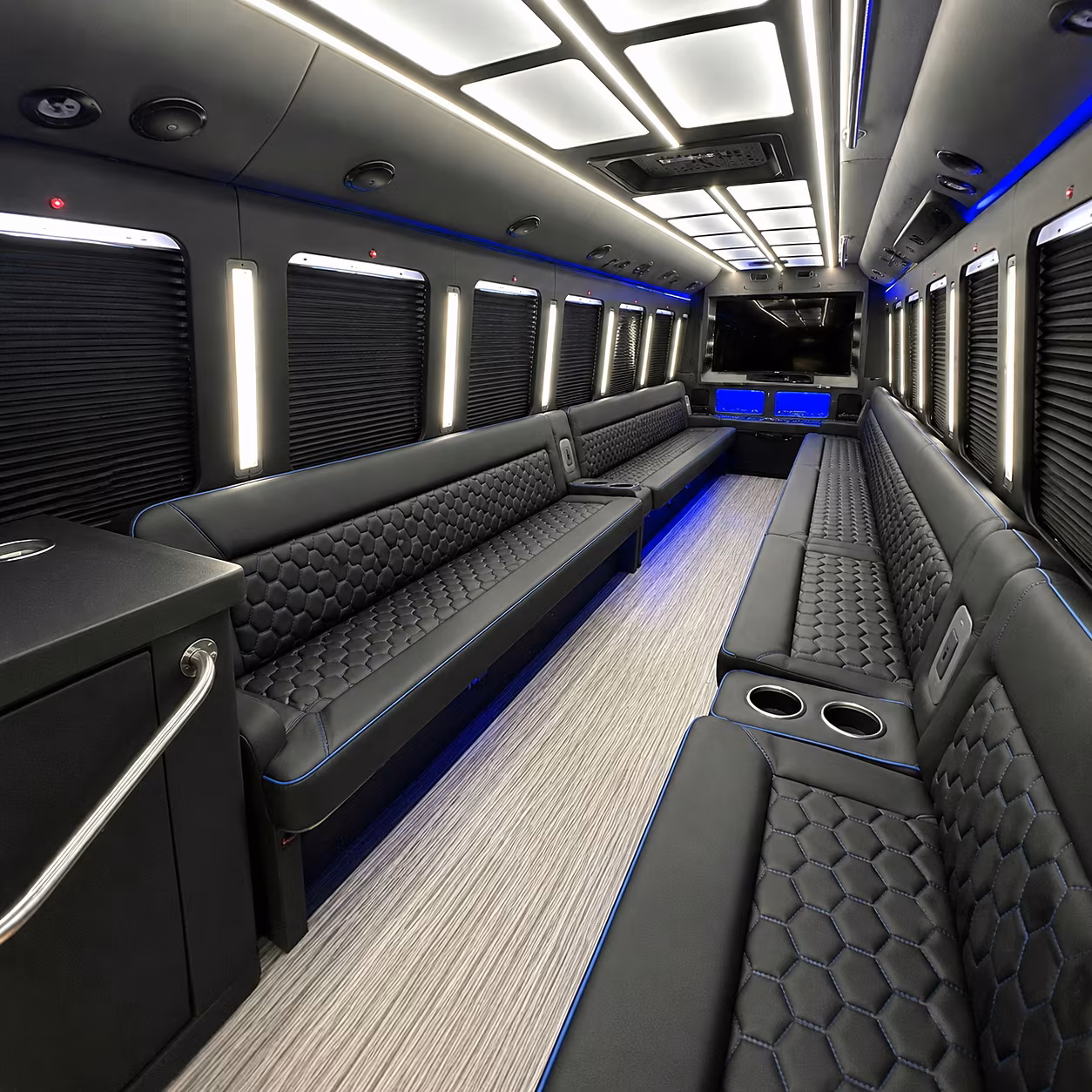 avondale party bus rental 2