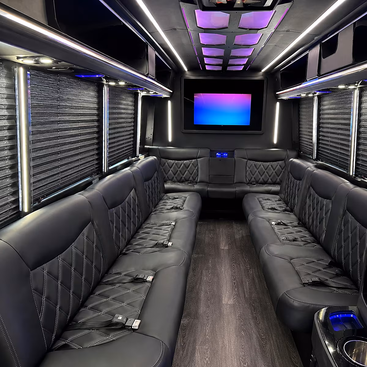 avondale party bus rental interior