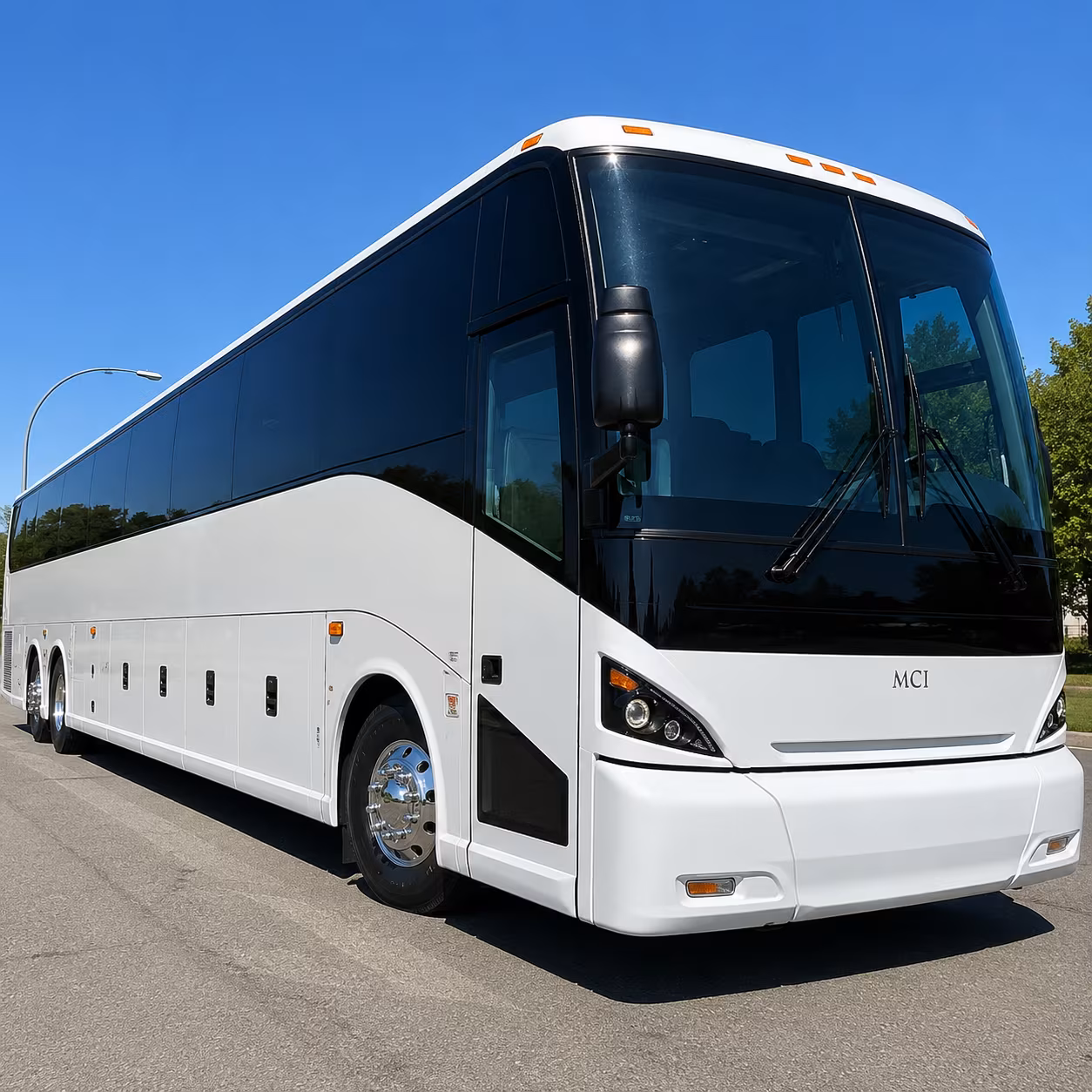 one search for your avondale group trip